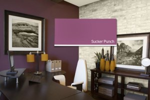 CIL's new lines of paint colours for men includes "Sucker Punch"